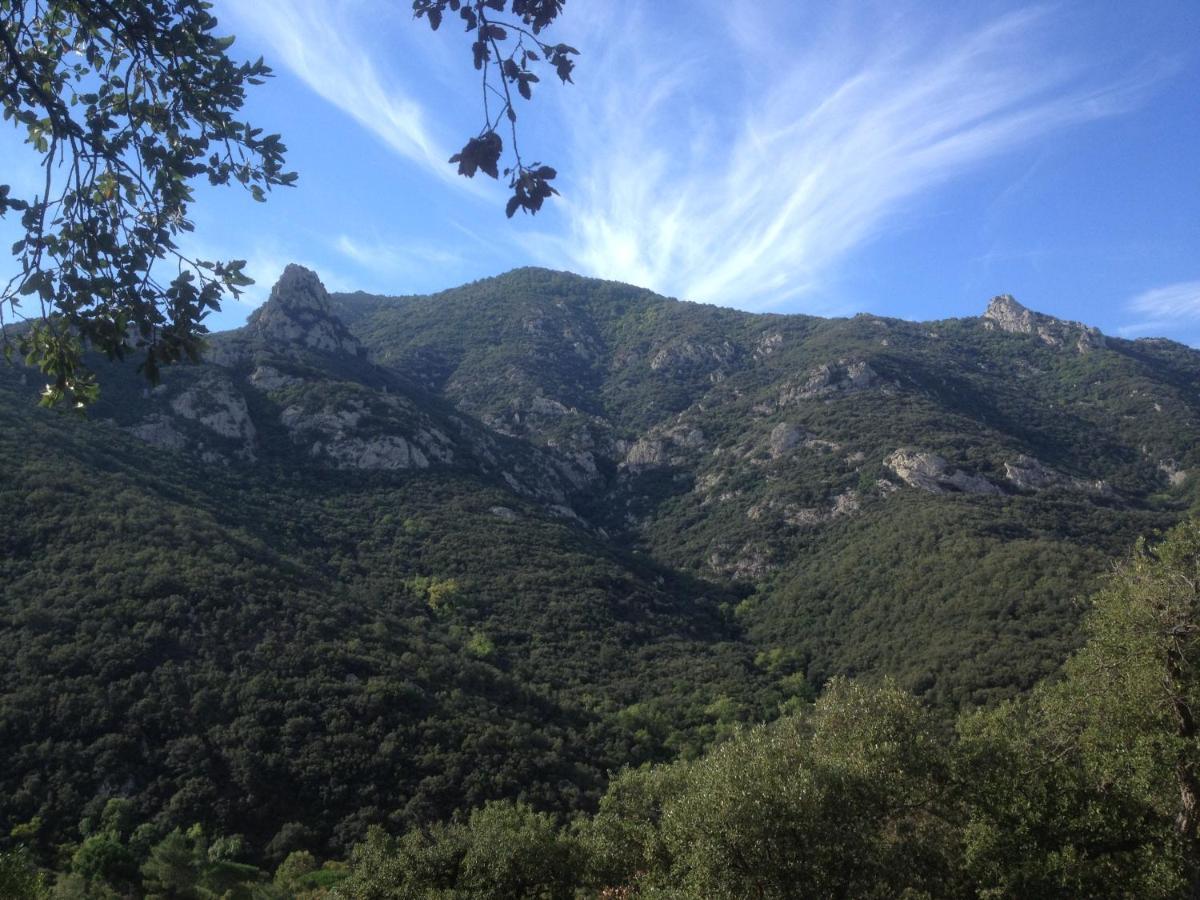 L'Abri La Vall Sorède Extérieur photo