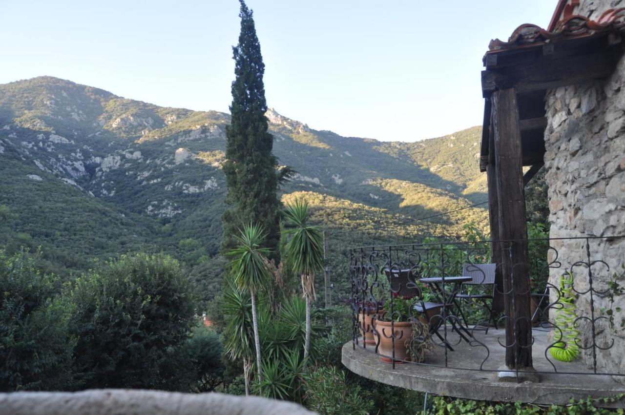 L'Abri La Vall Sorède Extérieur photo