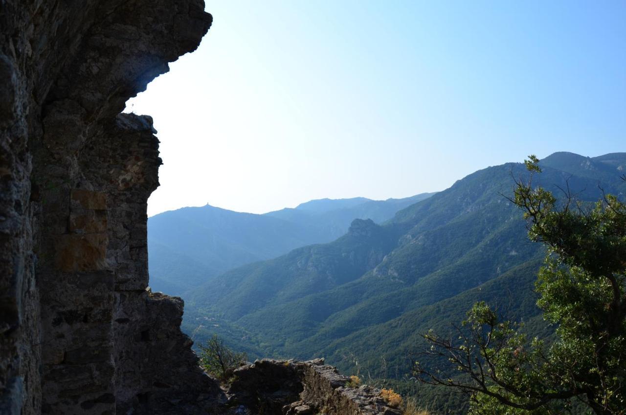L'Abri La Vall Sorède Extérieur photo