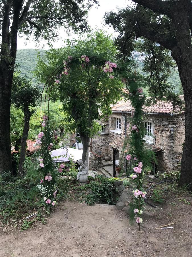 L'Abri La Vall Sorède Extérieur photo