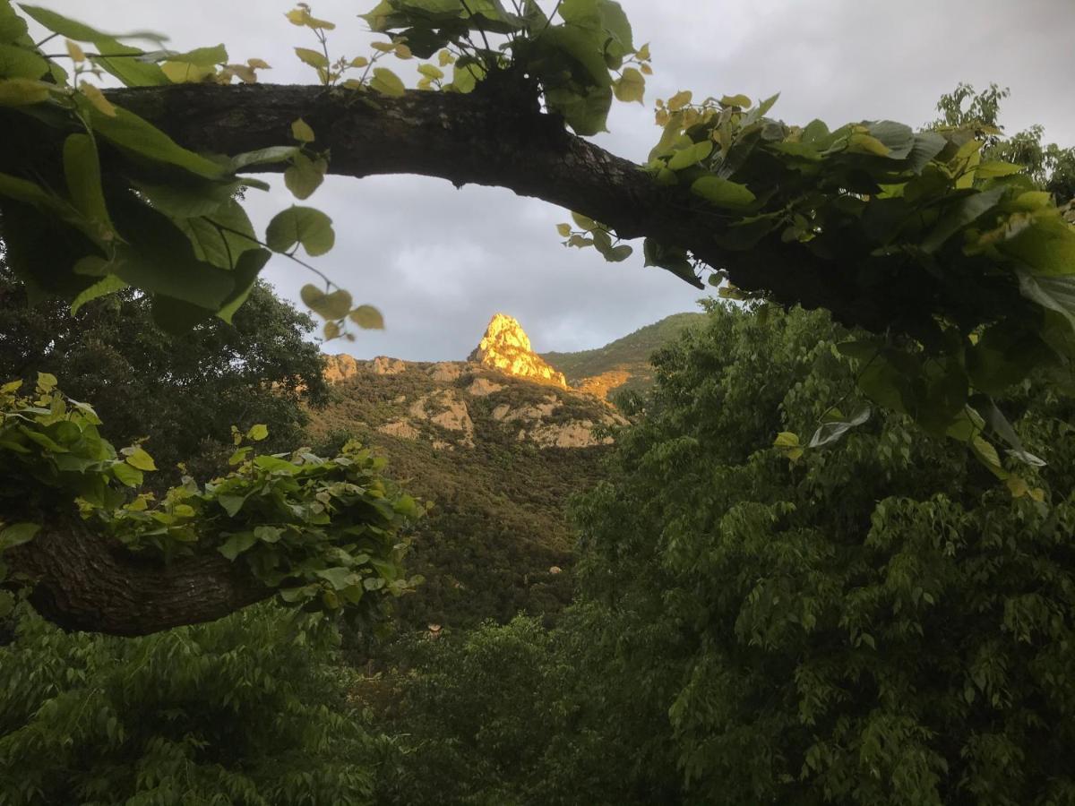 L'Abri La Vall Sorède Extérieur photo