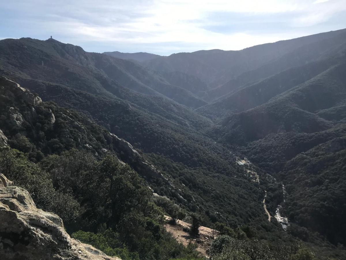 L'Abri La Vall Sorède Extérieur photo