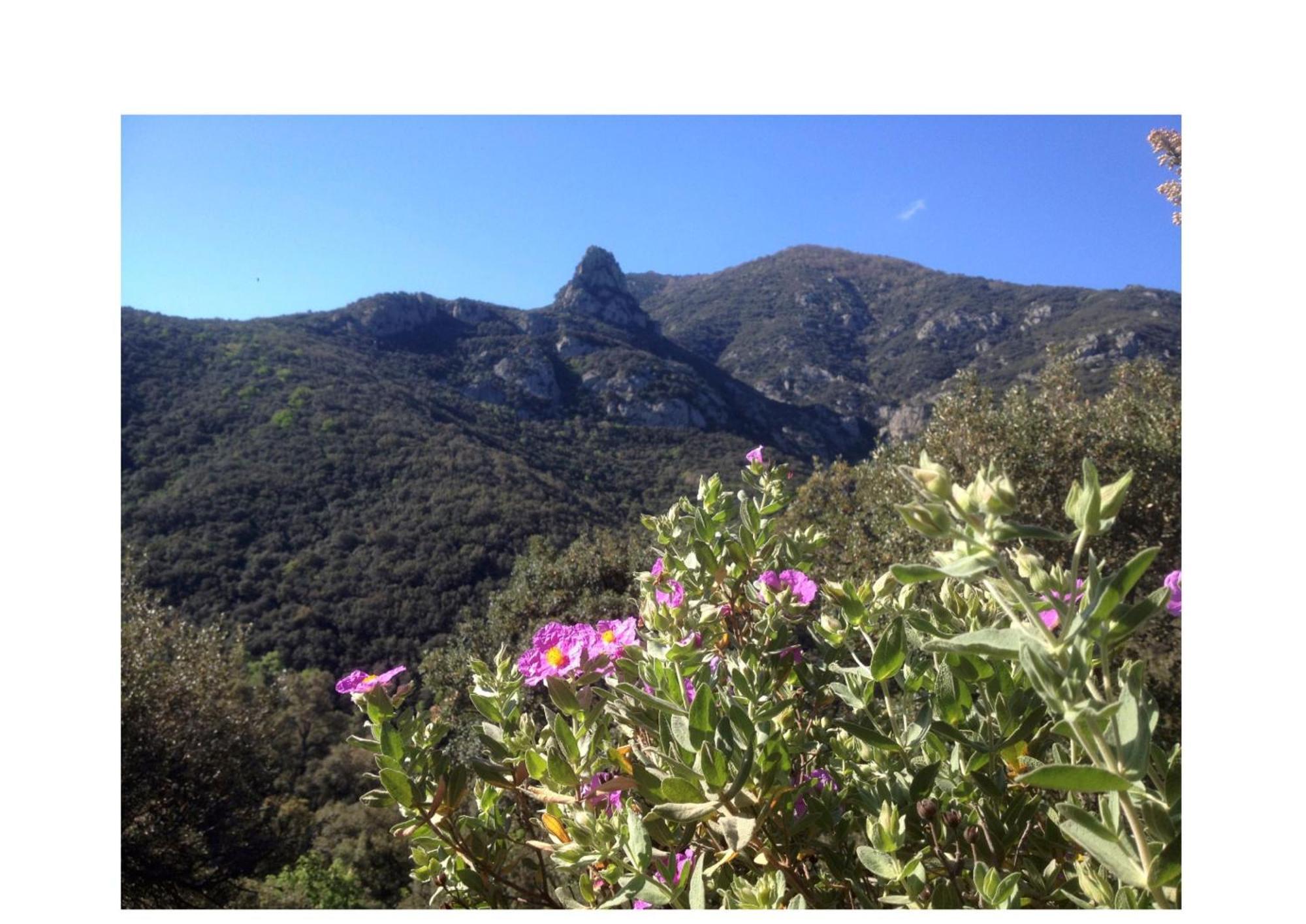 L'Abri La Vall Sorède Extérieur photo